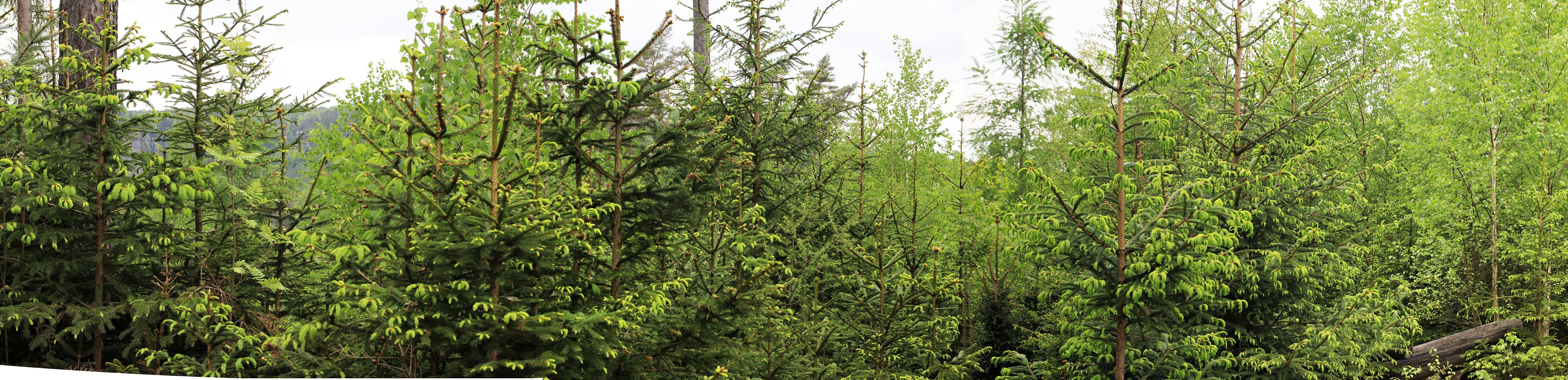 2025