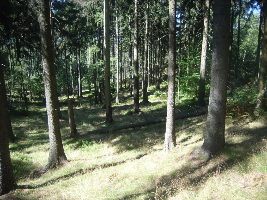 2016